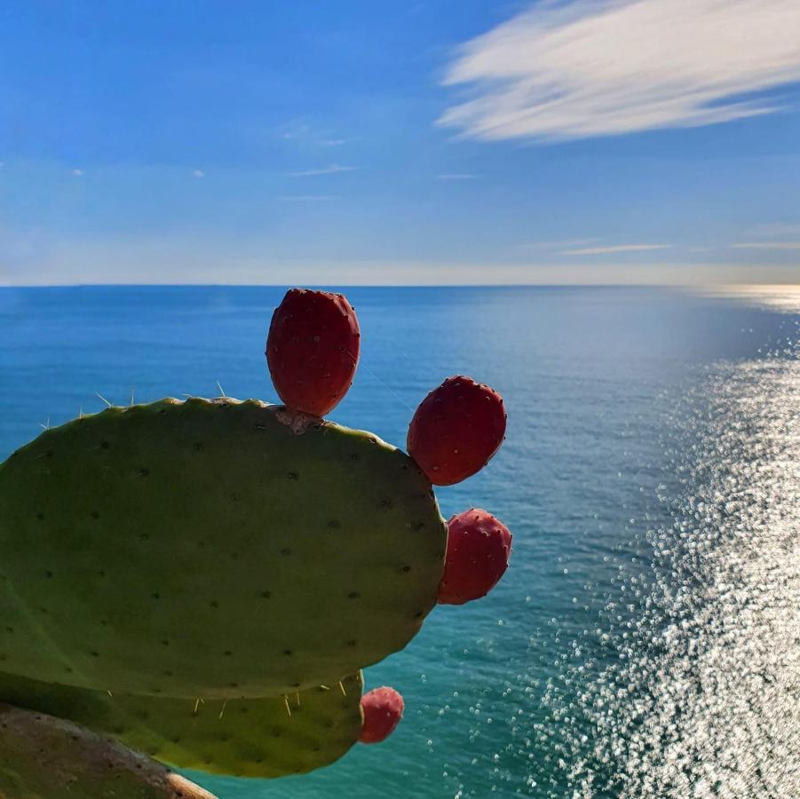 코르니글리오 La Terrazza Sul Blu 아파트 외부 사진